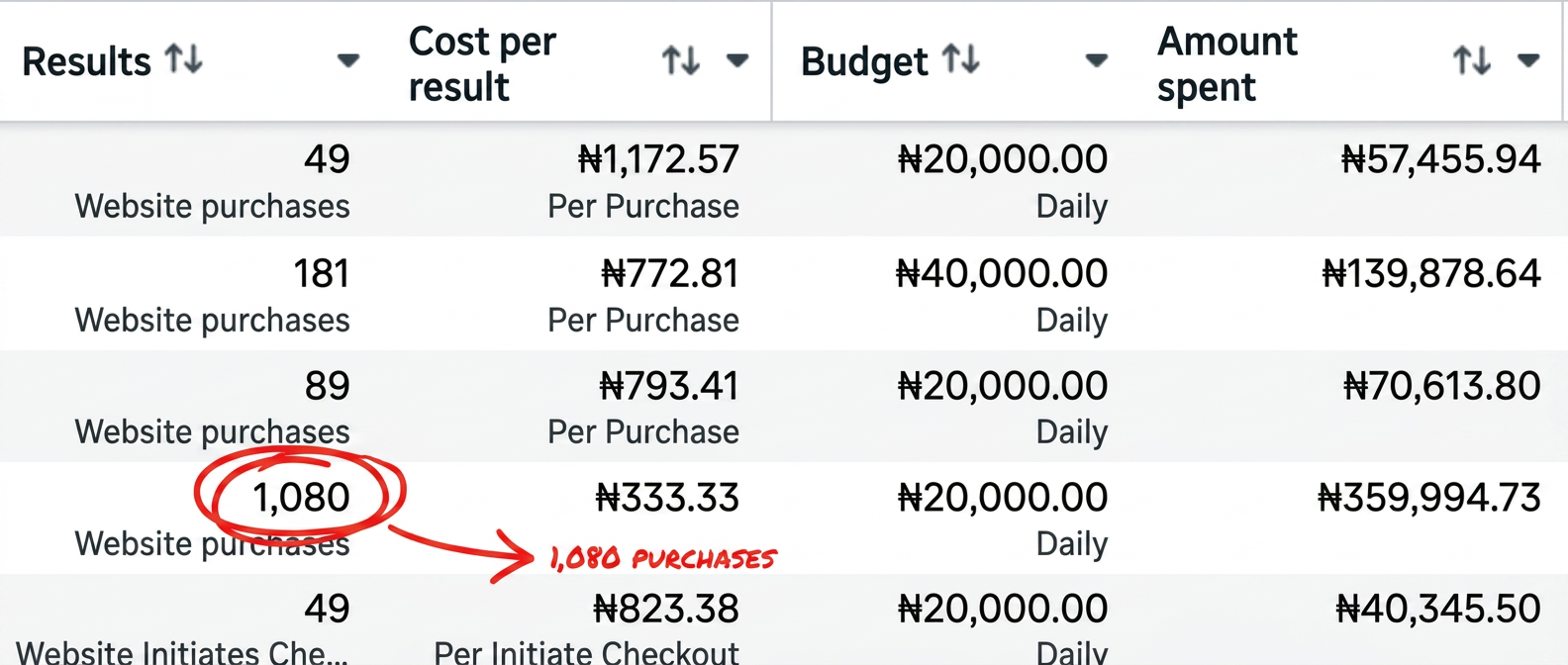 Meta Ads Manager campaign results